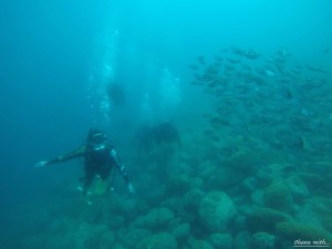DCIM100GOPROGOPR8185.JPG