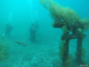 DCIM100GOPROGOPR9377.JPG