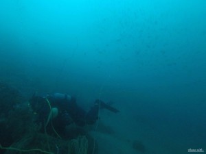 DCIM118GOPROGOPR7819.JPG
