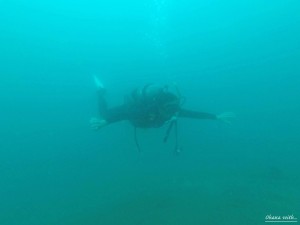 DCIM118GOPROGOPR7870.JPG