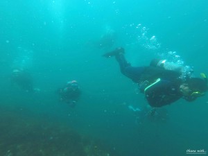 DCIM118GOPROGOPR7890.JPG