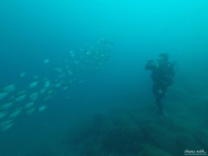 DCIM118GOPROGOPR7905.JPG