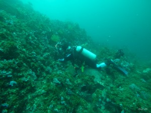 DCIM101GOPROG0021595.JPG
