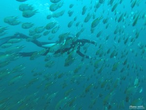 DCIM100GOPROGOPR0016.JPG