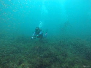 DCIM101GOPROGOPR0888.JPG