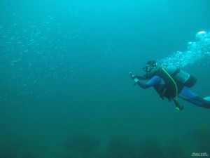 DCIM101GOPROGOPR0894.JPG