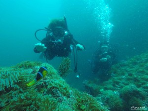 DCIM118GOPROGOPR8256.JPG