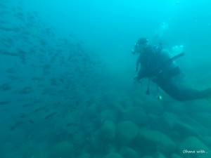 DCIM118GOPROGOPR8753.JPG