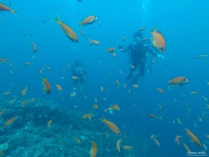 DCIM118GOPROGOPR8780.JPG