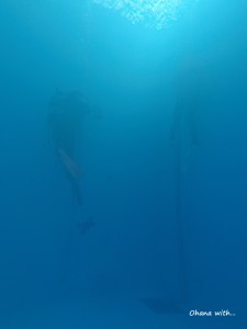 DCIM118GOPROGOPR8807.JPG