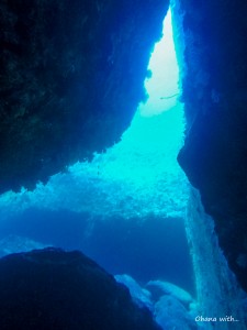 DCIM100GOPROGOPR0011.JPG