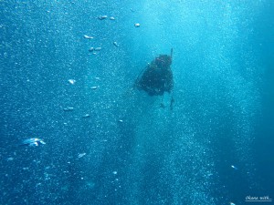 DCIM119GOPROGOPR0449.JPG