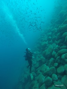 DCIM118GOPROGOPR2717.JPG