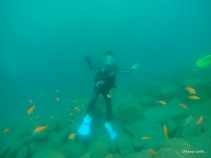 DCIM118GOPROGOPR3191.JPG