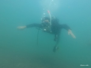 DCIM118GOPROGOPR9042.JPG