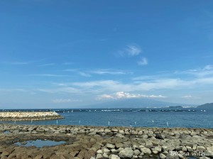 S__8437771
