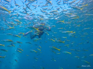 DCIM122GOPROGOPR4565.JPG
