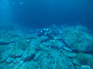 DCIM100GOPROG0095949.JPG
