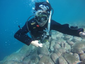 DCIM127GOPROGOPR2925.JPG