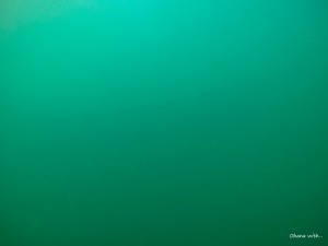 DCIM100GOPROGOPR5116.JPG