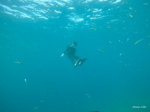 DCIM100GOPROGOPR6079.JPG