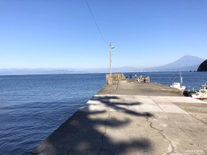 IMG_5849[1]