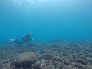 DCIM127GOPROGOPR3046.JPG