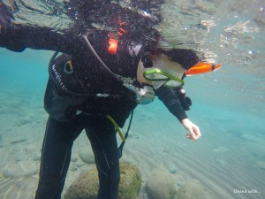 DCIM127GOPROG0033444.JPG