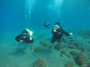 DCIM100GOPROGOPR6572.JPG
