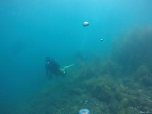 DCIM127GOPROGOPR4624.JPG