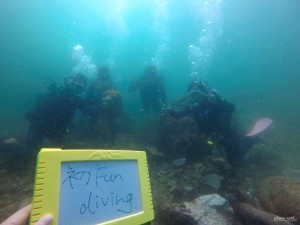 DCIM129GOPROGOPR8533.JPG