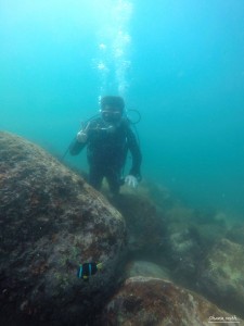 DCIM129GOPROGOPR8540.JPG