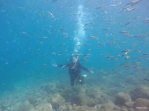 DCIM129GOPROGOPR9167.JPG