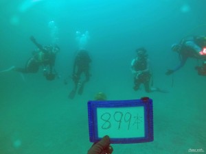 DCIM100GOPROGOPR9594.JPG