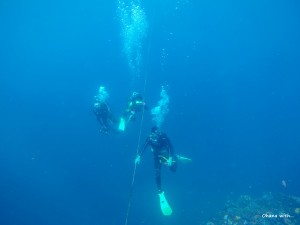 DCIM101GOPROGOPR0090.JPG