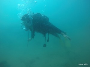 DCIM101GOPROGOPR0151.JPG