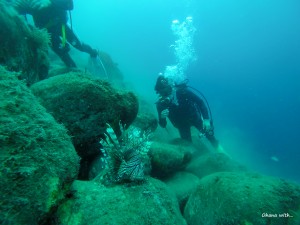 DCIM130GOPROGOPR0262.JPG