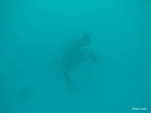 DCIM101GOPROGOPR0341.JPG