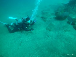 DCIM130GOPROGOPR0474.JPG