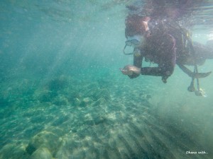 DCIM100GOPROGOPR6126.JPG