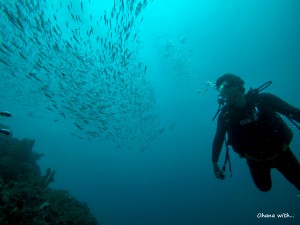 DCIM129GOPROGOPR9717.JPG