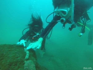DCIM130GOPROGOPR1174.JPG