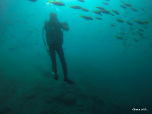 DCIM101GOPROGOPR1590.JPG