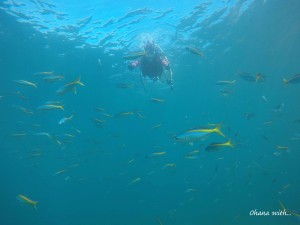 DCIM101GOPROGOPR1632.JPG