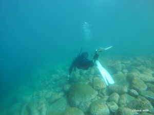 DCIM100GOPROGOPR6723.JPG