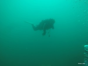 DCIM136GOPROGOPR7910.JPG