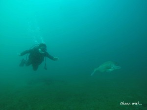 DCIM100GOPROGOPR7443.JPG