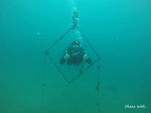 DCIM100GOPROGOPR7454.JPG