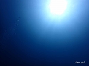 line_oa_chat_201125_190411