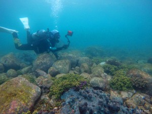 DCIM101GOPROGOPR2470.JPG